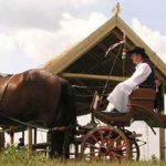Farmstead in Serbia salas vojvodina horse-drawn carriages