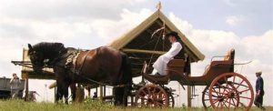 Farmstead in Serbia salas vojvodina horse-drawn carriages
