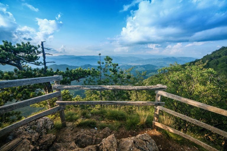 View over National park Tara, Serbia